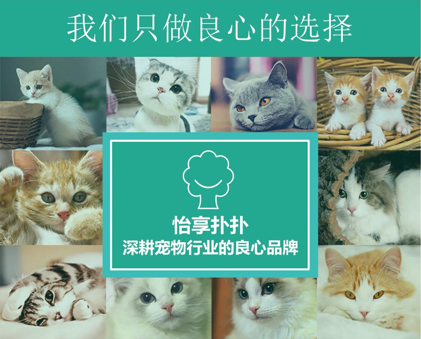 怡享 豆腐猫砂
