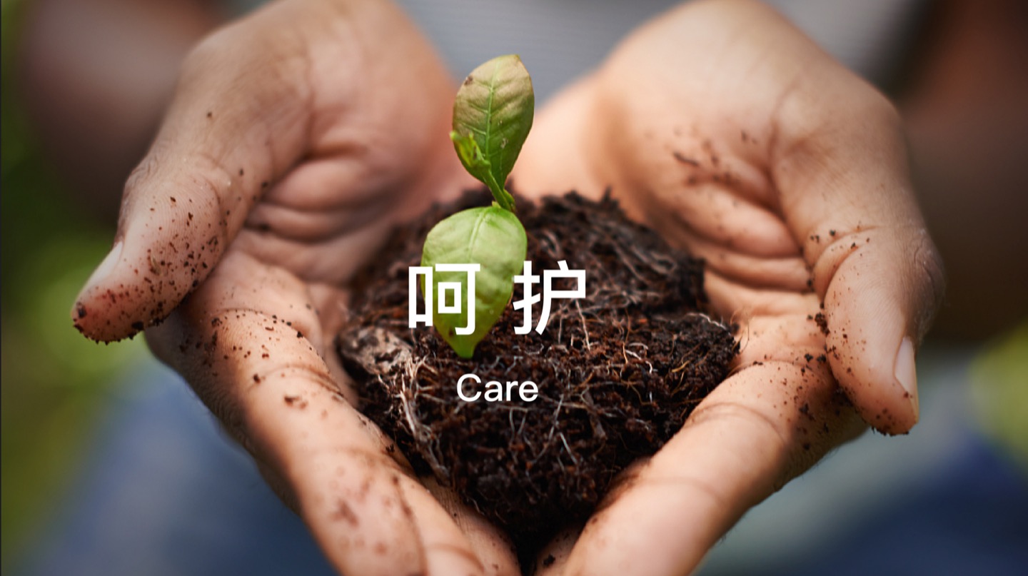 呵护